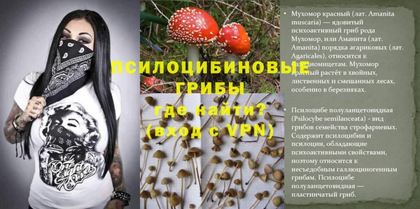круглые Нефтегорск