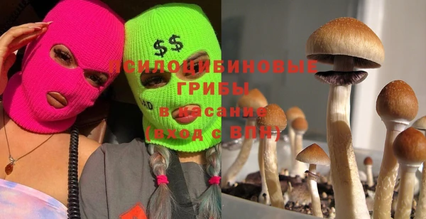 эйфоретик Нея