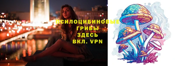 Альфа ПВП Нефтекумск