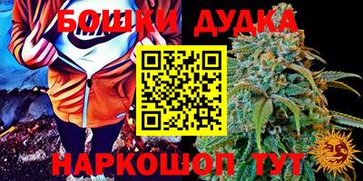 PSILOCYBIN Волгодонск