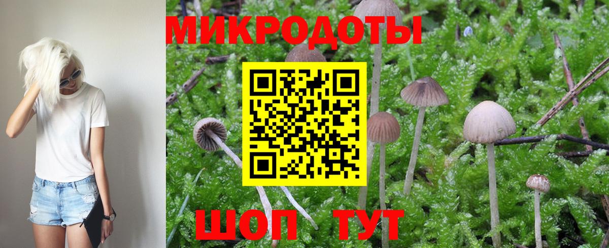 Псилоцибиновые грибы Cubensis  Вход с VPN  Химки 
