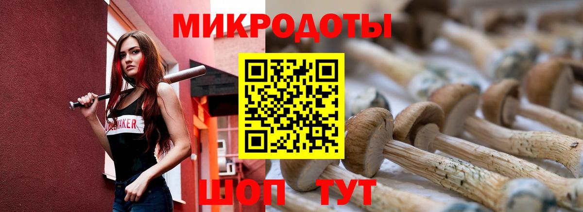 Псилоцибиновые грибы мицелий Химки